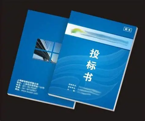 标书成品模板（请详细看说明）